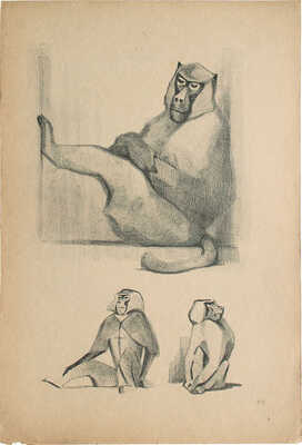 Ватагин Василий Алексеевич. Лот из четырех листов из альбома «Рисунки в автолитографиях»